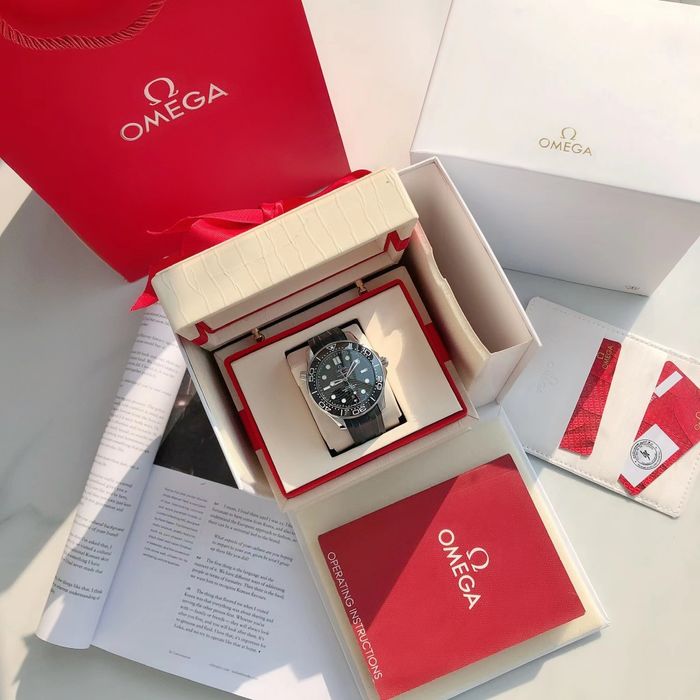 Omega Watch OMW00773