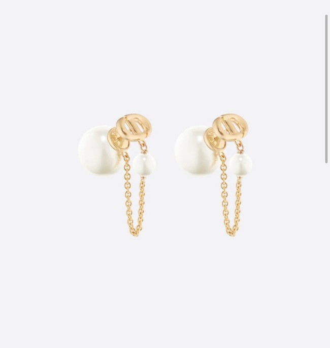 Dior Earrings CE11690