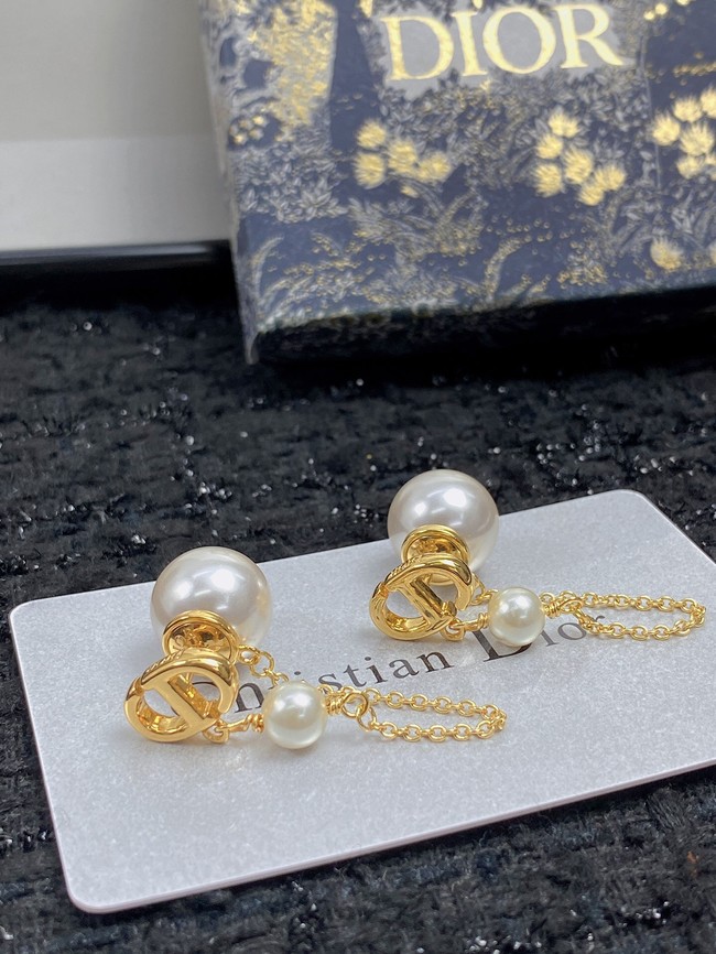 Dior Earrings CE11690