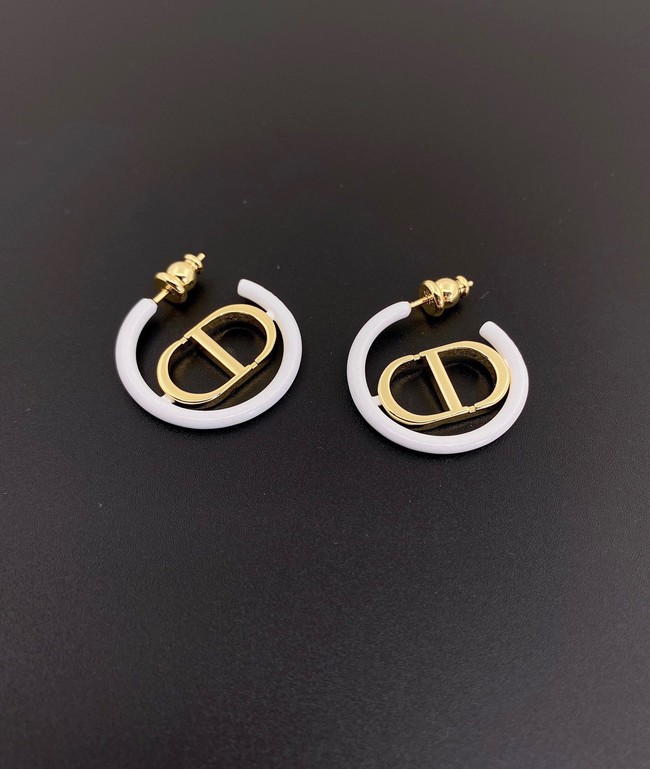 Dior Earrings CE11700