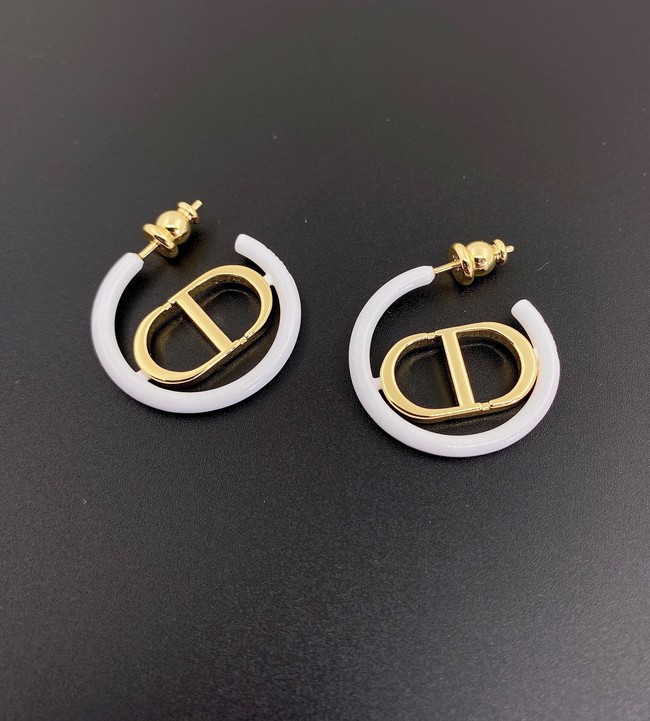 Dior Earrings CE11700