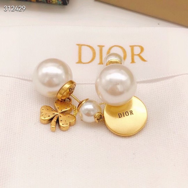 Dior Earrings CE11707