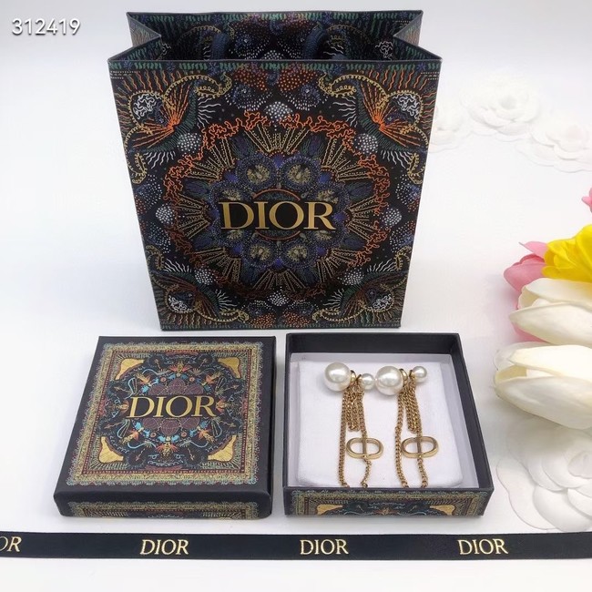 Dior Earrings CE11711