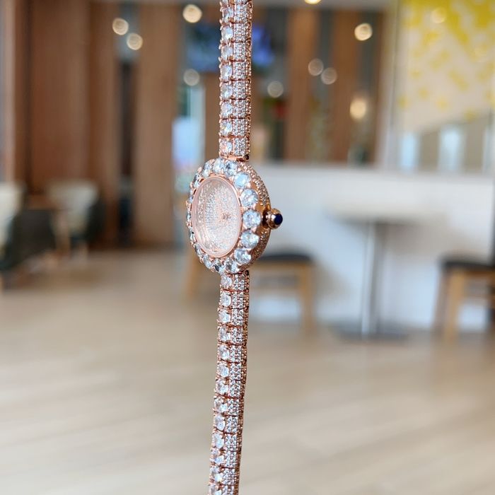 Dior Watch DRW00035