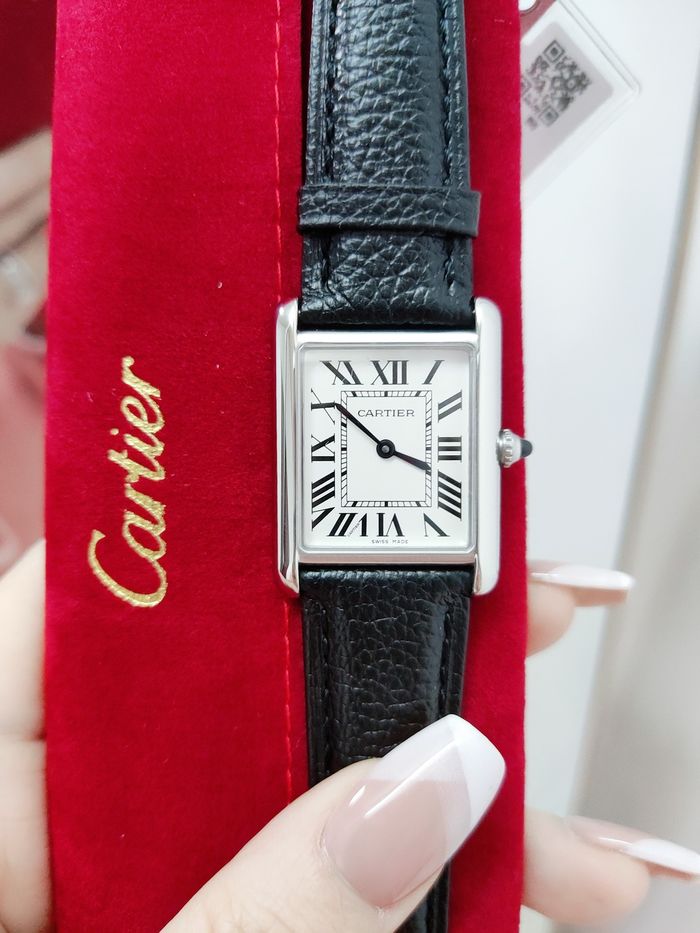 Cartier Watch CTW00173