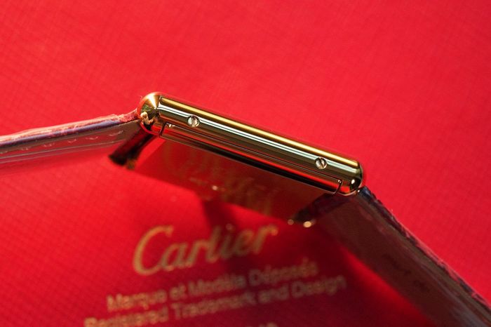 Cartier Watch CTW00207