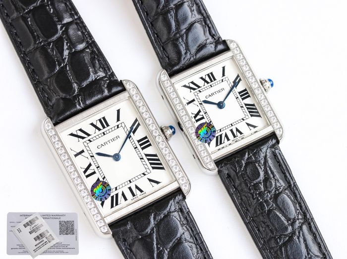 Cartier Watch CTW00209-1