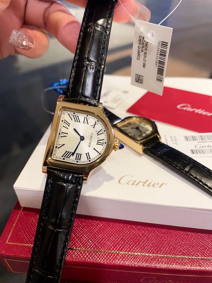 Cartier Watch CTW00211