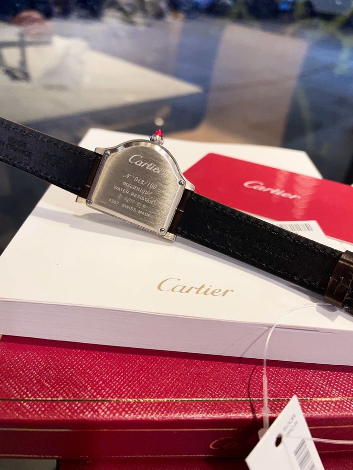 Cartier Watch CTW00212