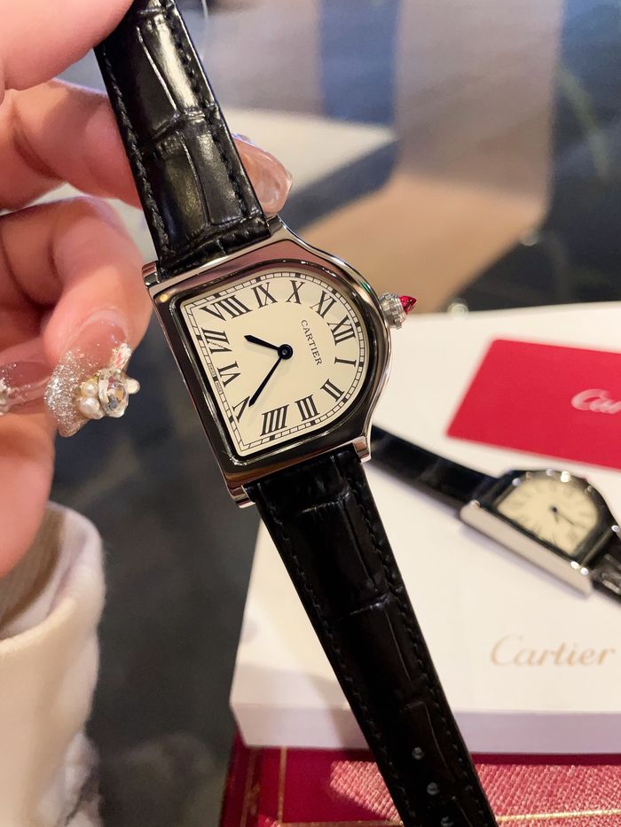 Cartier Watch CTW00213