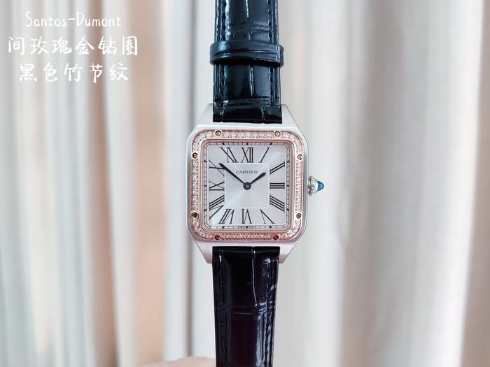 Cartier Watch CTW00233-1
