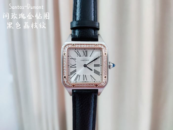 Cartier Watch CTW00233-7