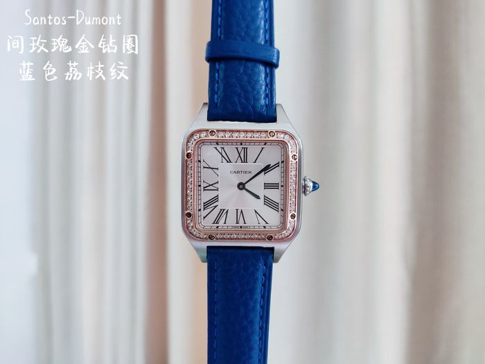 Cartier Watch CTW00233-8