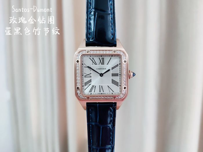 Cartier Watch CTW00234-2