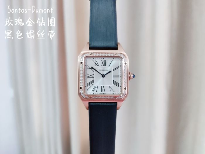 Cartier Watch CTW00234-6