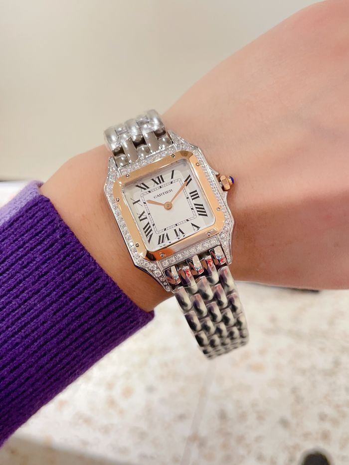 Cartier Watch CTW00243