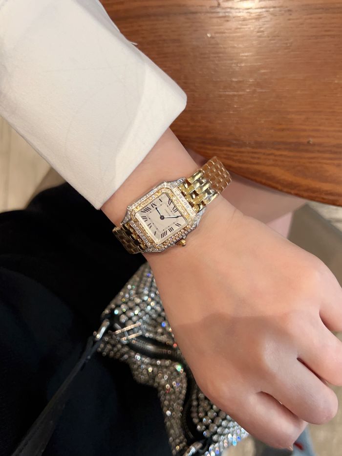 Cartier Watch CTW00252