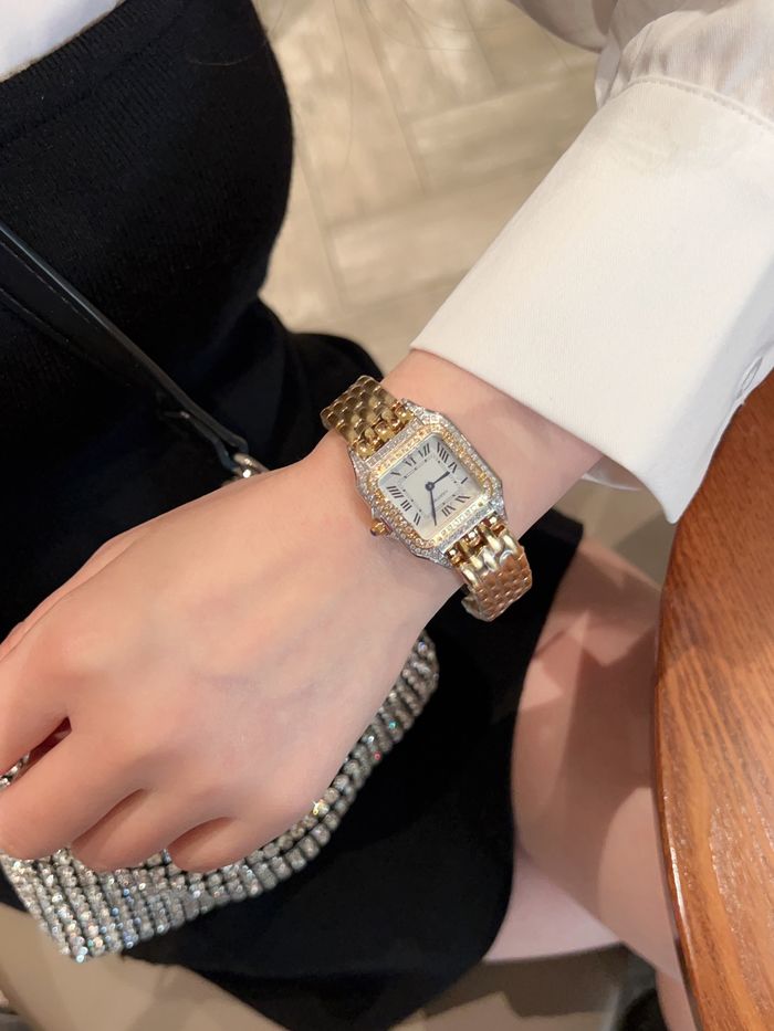 Cartier Watch CTW00252