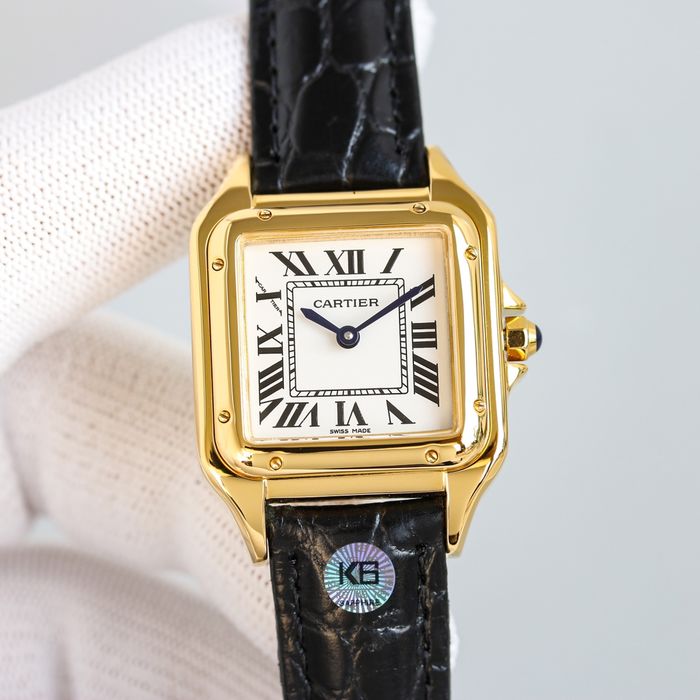 Cartier Watch CTW00258-1