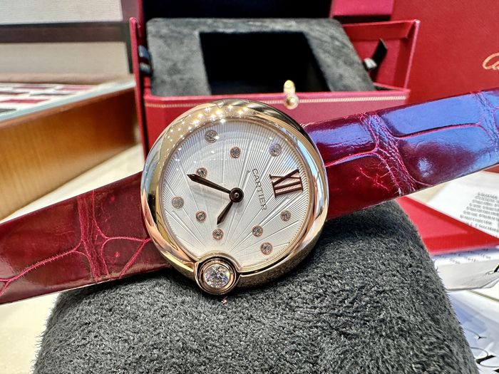 Cartier Watch CTW00278