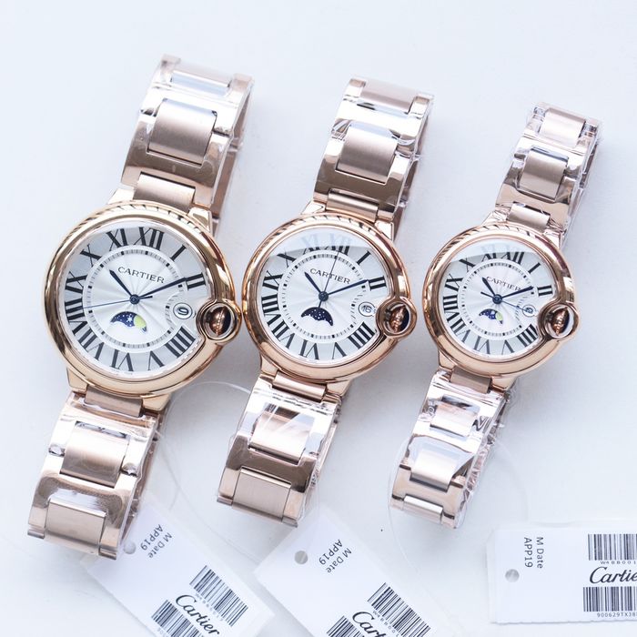 Cartier Watch CTW00288-2