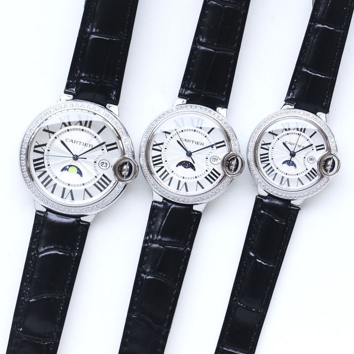 Cartier Watch CTW00289-2