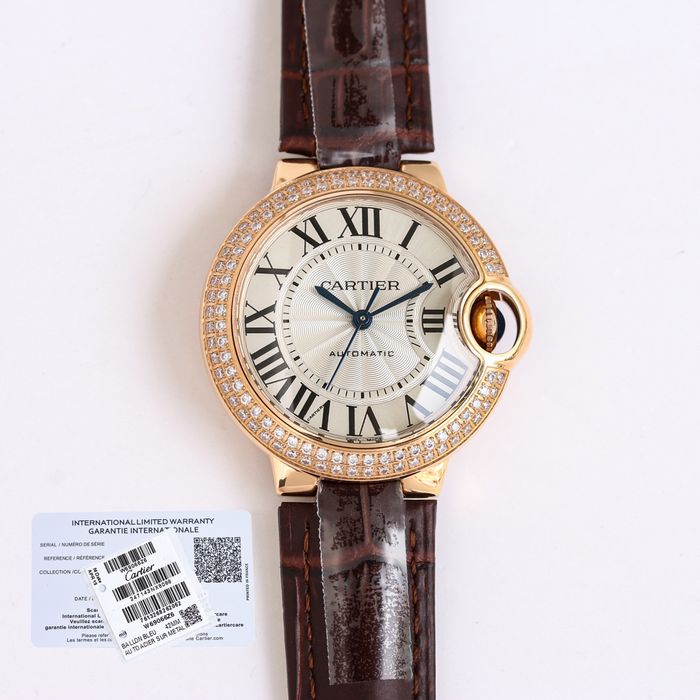 Cartier Watch CTW00308-1