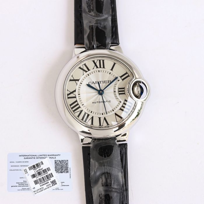 Cartier Watch CTW00308-2