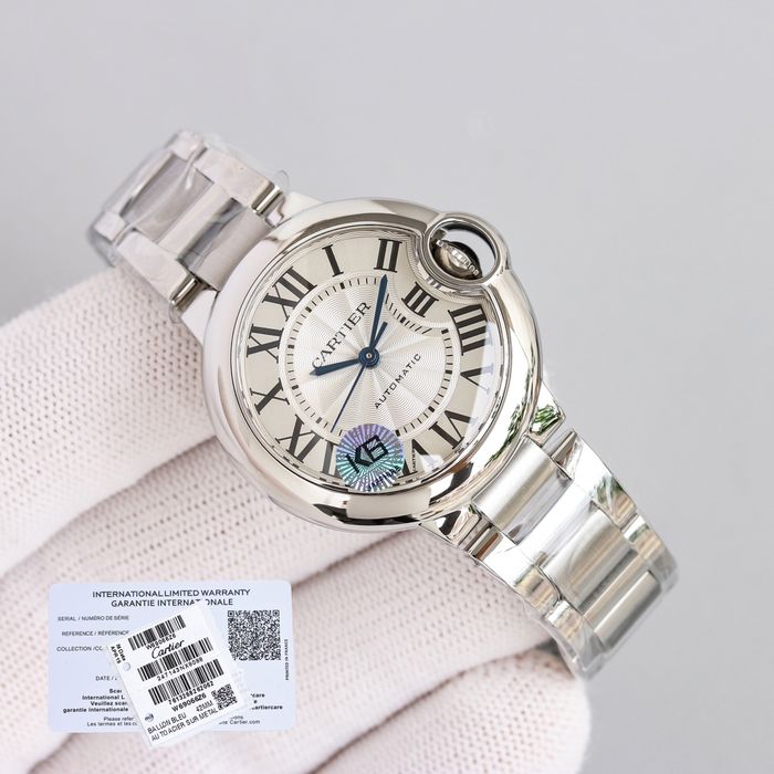 Cartier Watch CTW00315-1