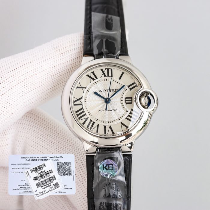 Cartier Watch CTW00315-4