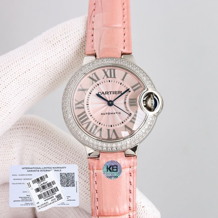 Cartier Watch CTW00315-6