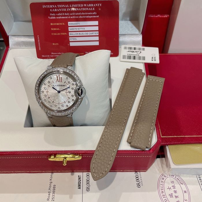 Cartier Watch CTW00341-1