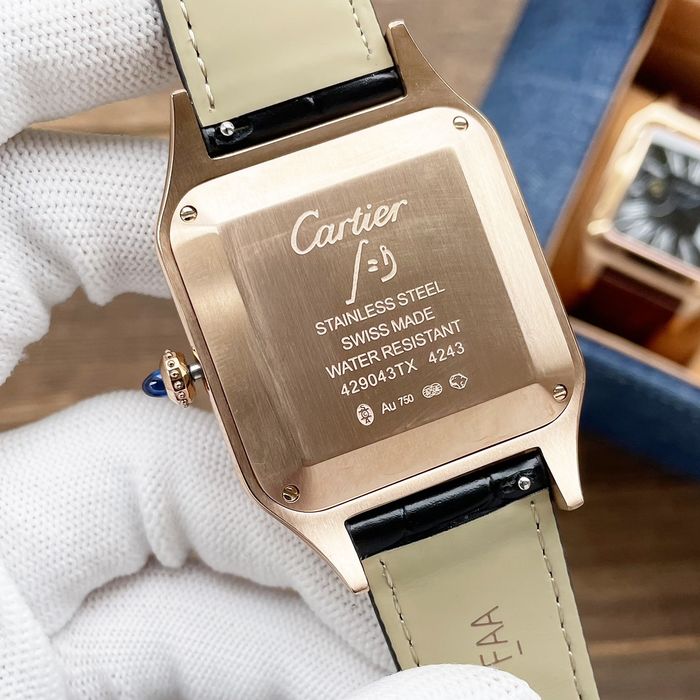 Cartier Watch CTW00352-1