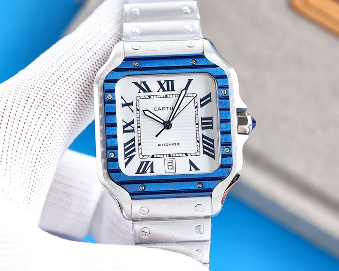Cartier Watch CTW00354-1