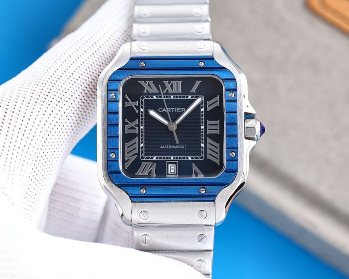 Cartier Watch CTW00354-2