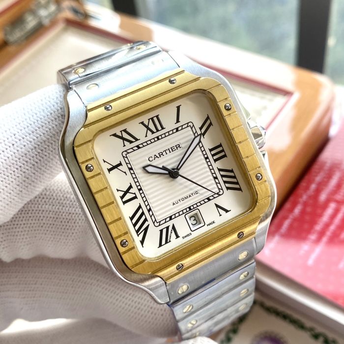 Cartier Watch CTW00359-2