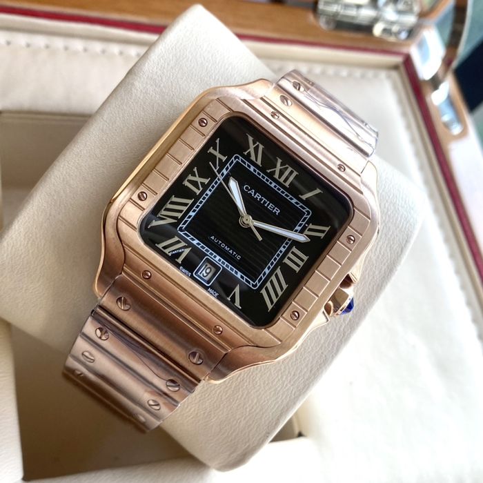 Cartier Watch CTW00359-3