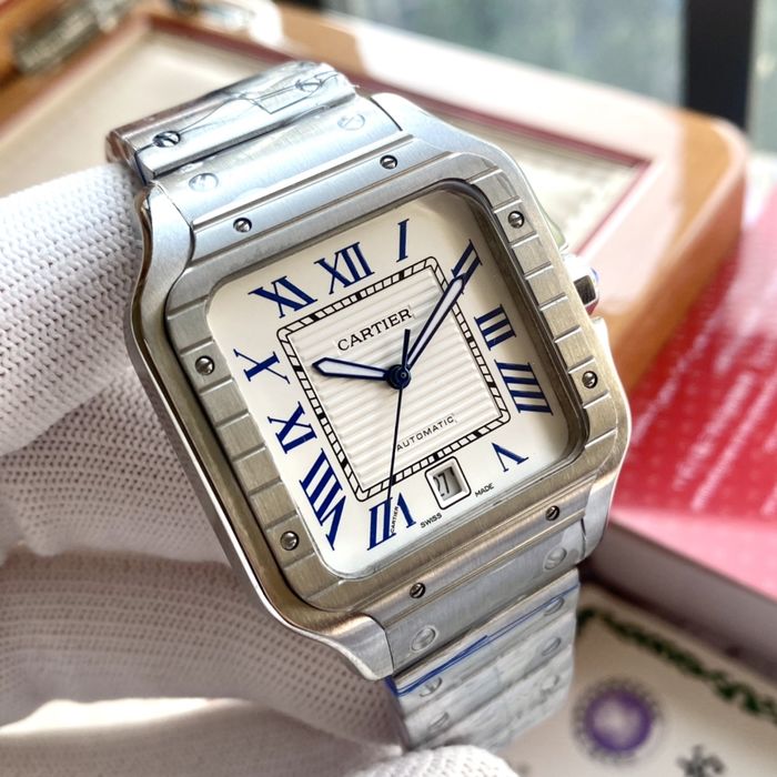 Cartier Watch CTW00360-1