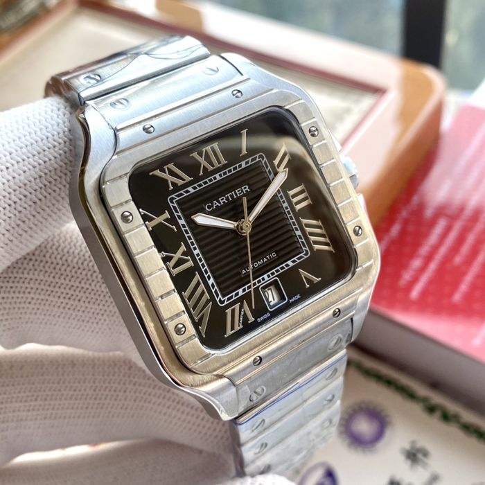 Cartier Watch CTW00360-2