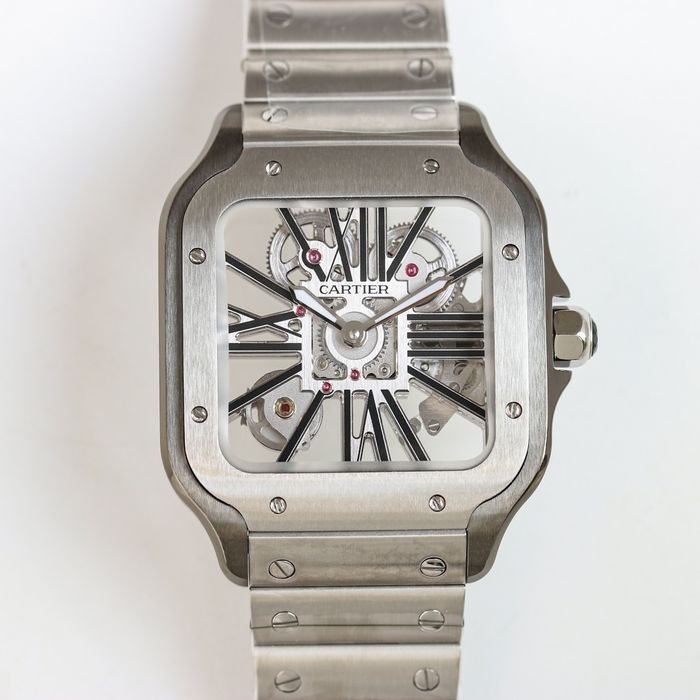 Cartier Watch CTW00362-2