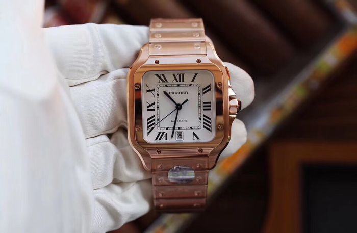 Cartier Watch CTW00373