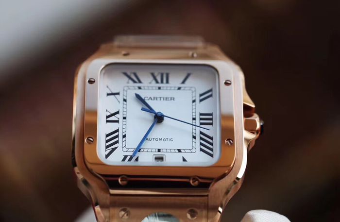 Cartier Watch CTW00373