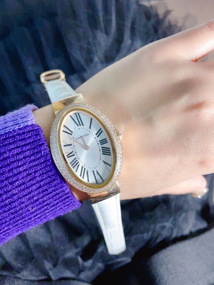 Cartier Watch CTW00382-5
