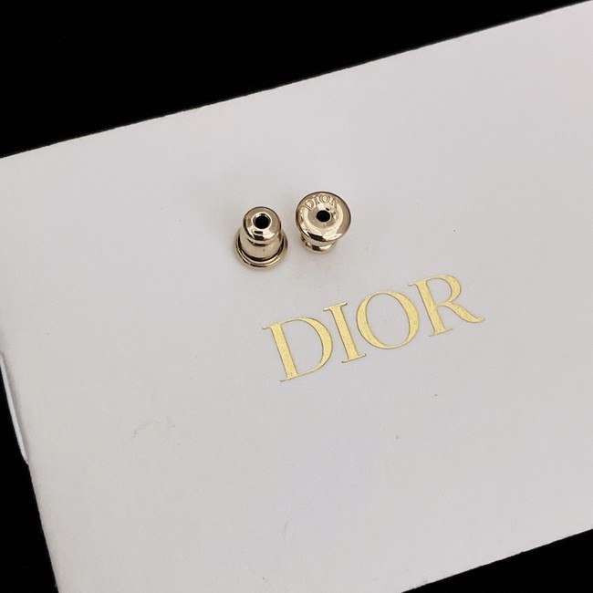 Dior Earrings CE11750