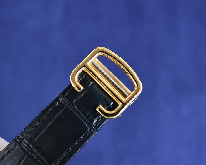 Cartier Watch CTW00424-1