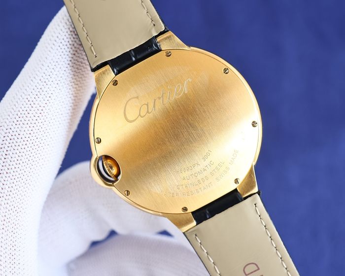 Cartier Watch CTW00424-1