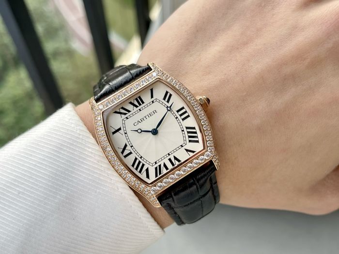 Cartier Watch CTW00460-2