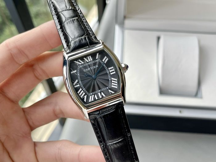 Cartier Watch CTW00461-1