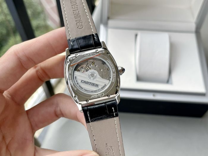 Cartier Watch CTW00461-1