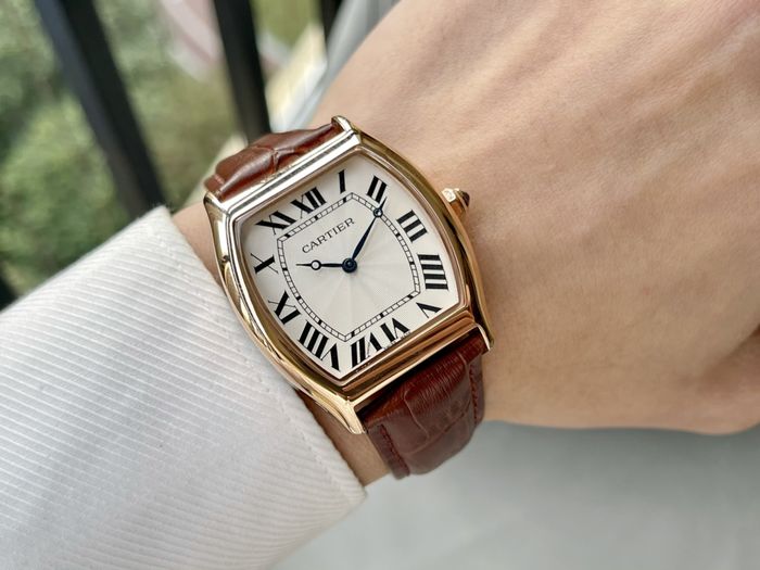 Cartier Watch CTW00461-2